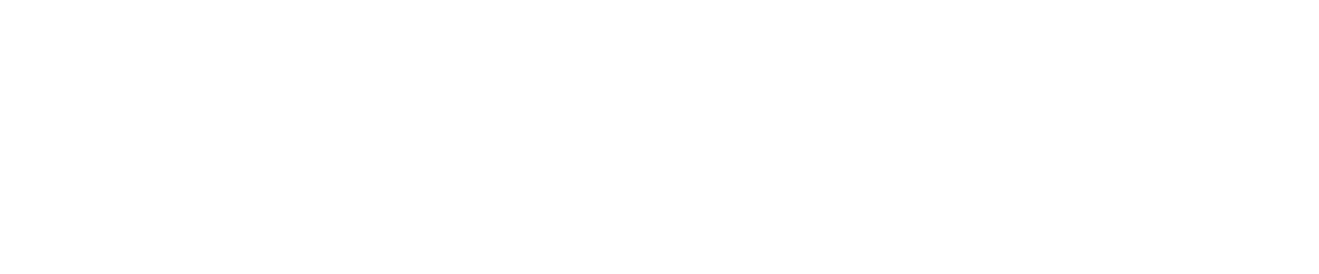 TRIPLE 20