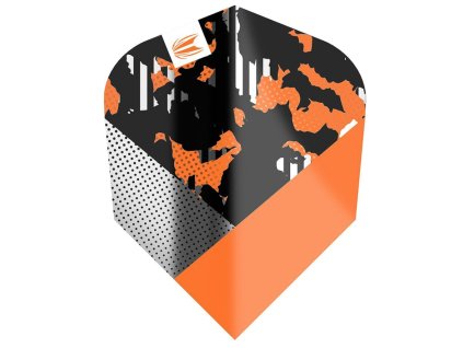 Target Ultra Icon Raymond van Barneveld Gold TenX