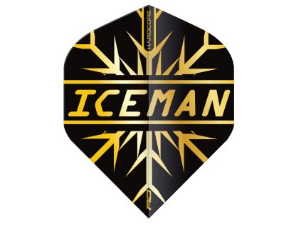 F6844 Hardcore GERWYN PRICE GOLD SNOWFLAKE Image3