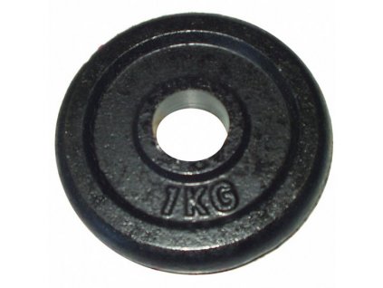 Litinový kotouč 1kg 25mm