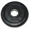 Litinový kotouč 1kg 30mm