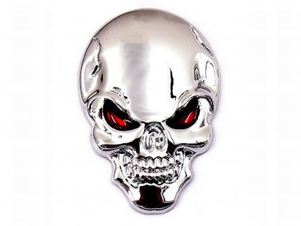 vyr 121 sam 3D Lebka