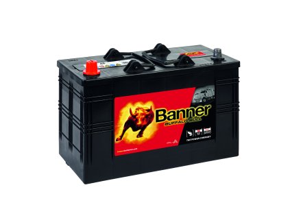 010610480101 Buffalo Bull 610 48 Klassische Ansicht