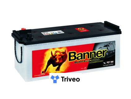 010650110101 Buffalo Bull 650 11 Klassische Ansicht.medium