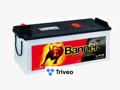 010680110101 Buffalo Bull 680 11 Klassische Ansicht.medium