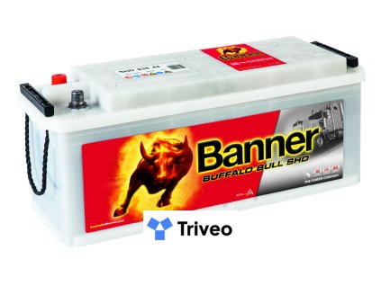 018635440101 Buffalo Bull SHD 635 44 Klassische Ansicht.medium