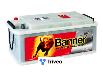 018670330101 Buffalo Bull SHD 670 33 Klassische Ansicht.medium