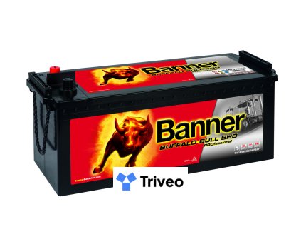 018645030101 Buffalo Bull SHD PRO 645 03 Klassische Ansicht.medium