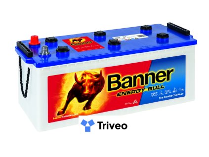 010963510101 Energy Bull 963 51 Klassische Ansicht.medium