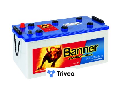 010968010101 Energy Bull 968 01 Klassische Ansicht.medium