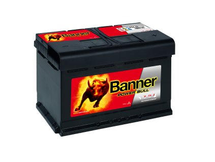 013584400101 Power Bull P84 40 DT Klassische Ansicht