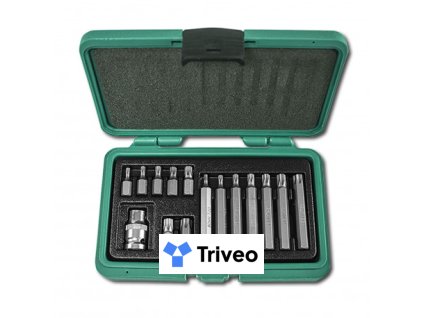 Sada bitov TORX 15-dielna H4015