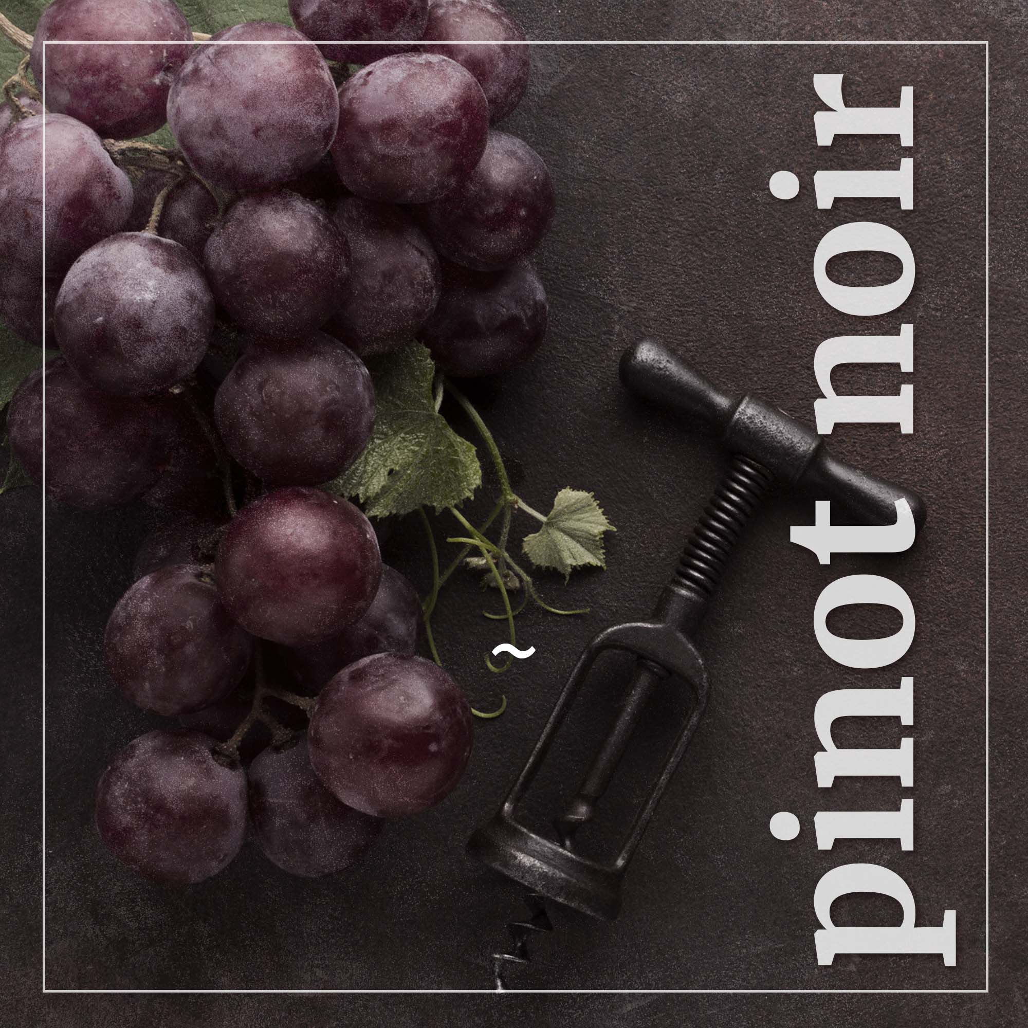 Pinot Noir (Rulandské modré, Pinot Nero, Blauburgunder)