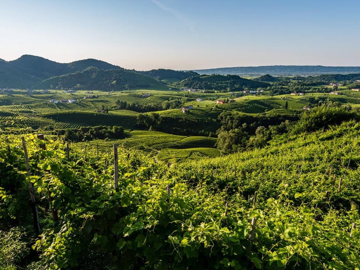 Údolie pod vinicami Bastia vo Valdobbiadene