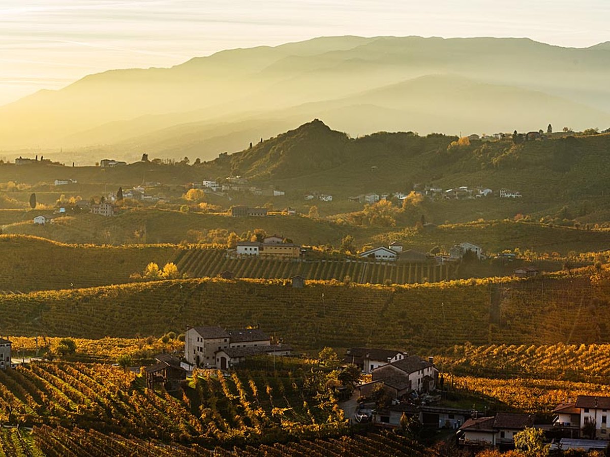Vinice Bastia v podvečernej hmle nad Valdobbiadene