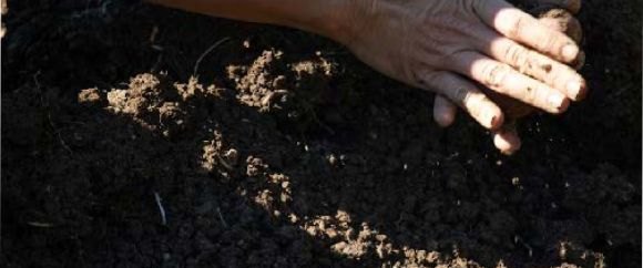 Ruka v kompostovanej pôde s organickou hmotou