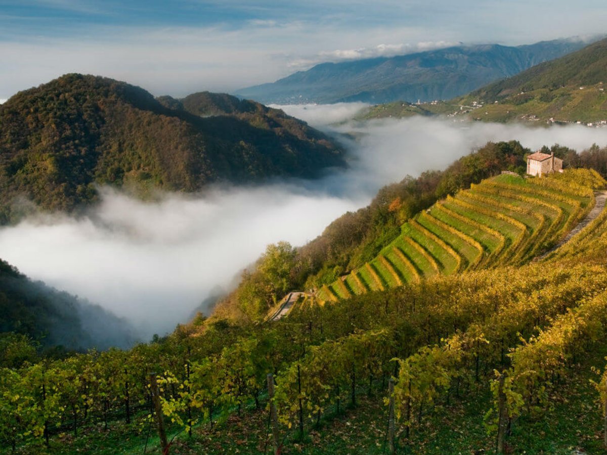 Ranná hmla v údolí pod vinicami Valdobbiadene