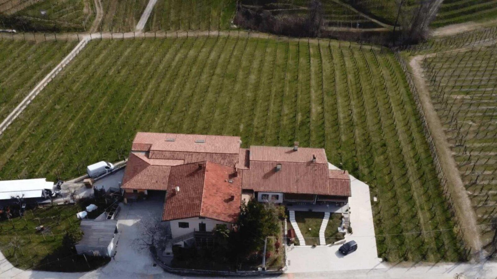 Vinárstvo Colline Guizzette uprostred viníc