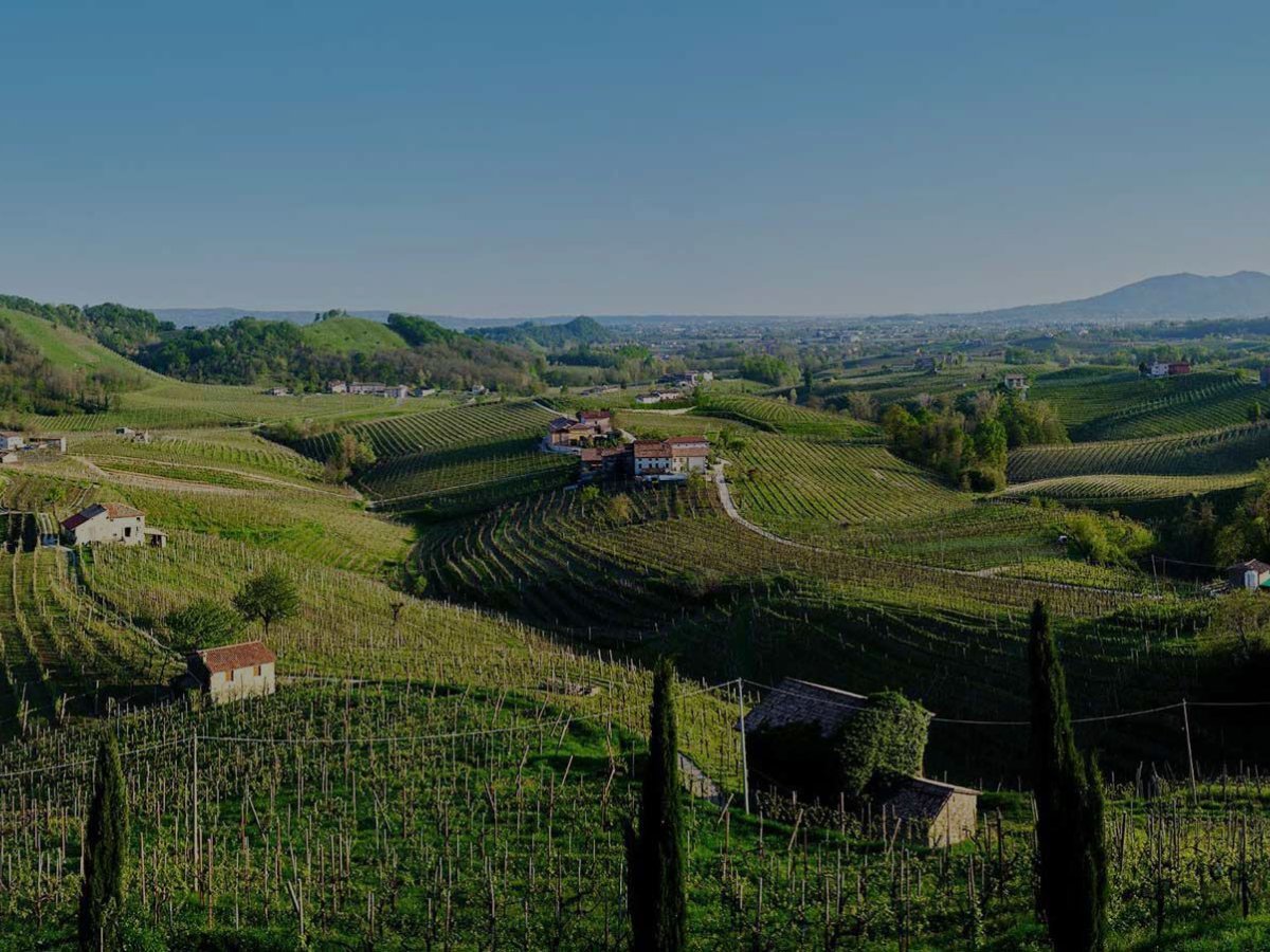 Kopce s vinicami v okolí Cartizze