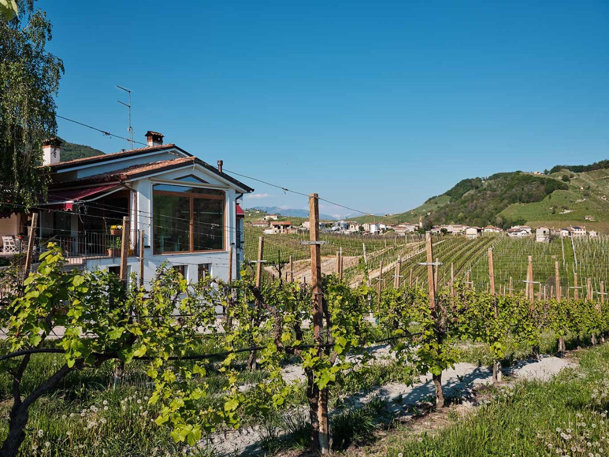 Dom uprostred viníc Colline Guizzette