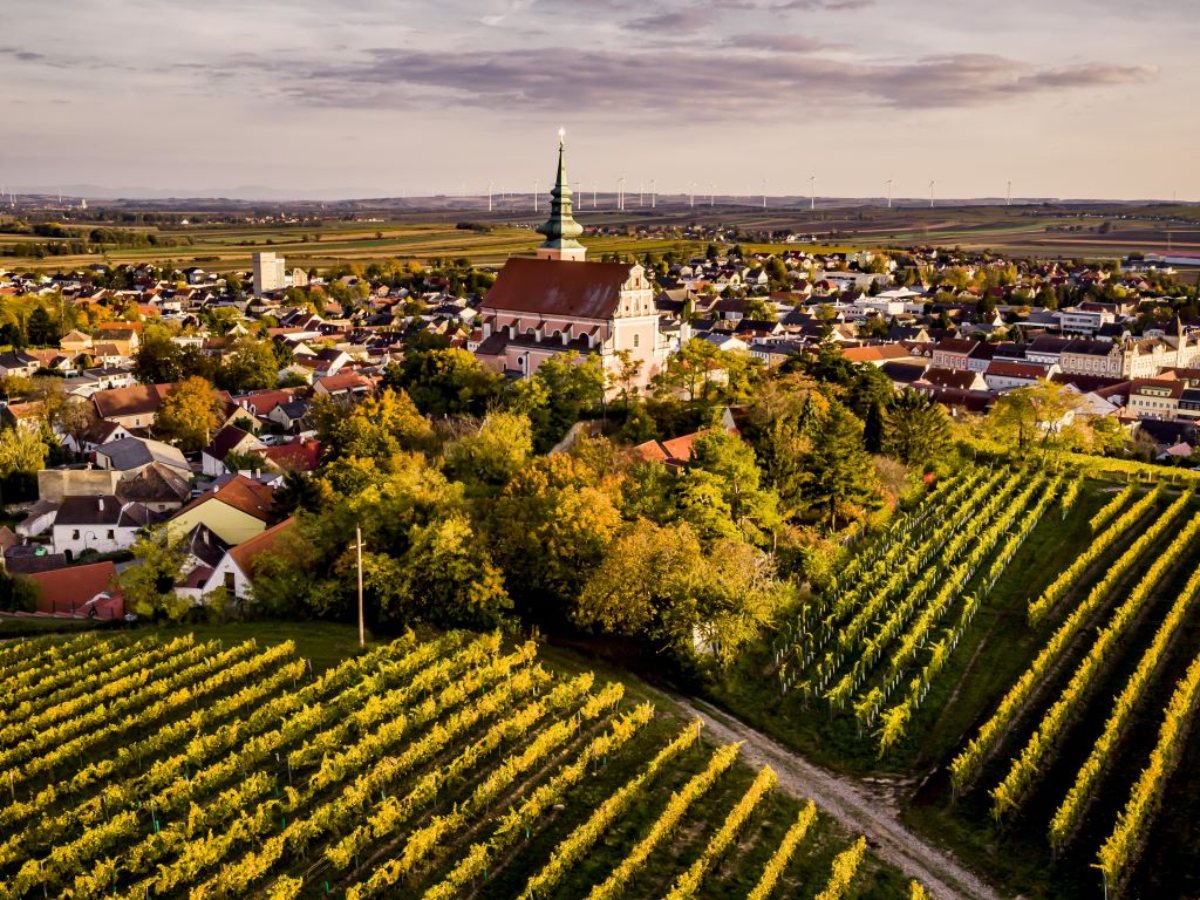 Poysdorf s kostolom uprostred viníc Weinviertlu