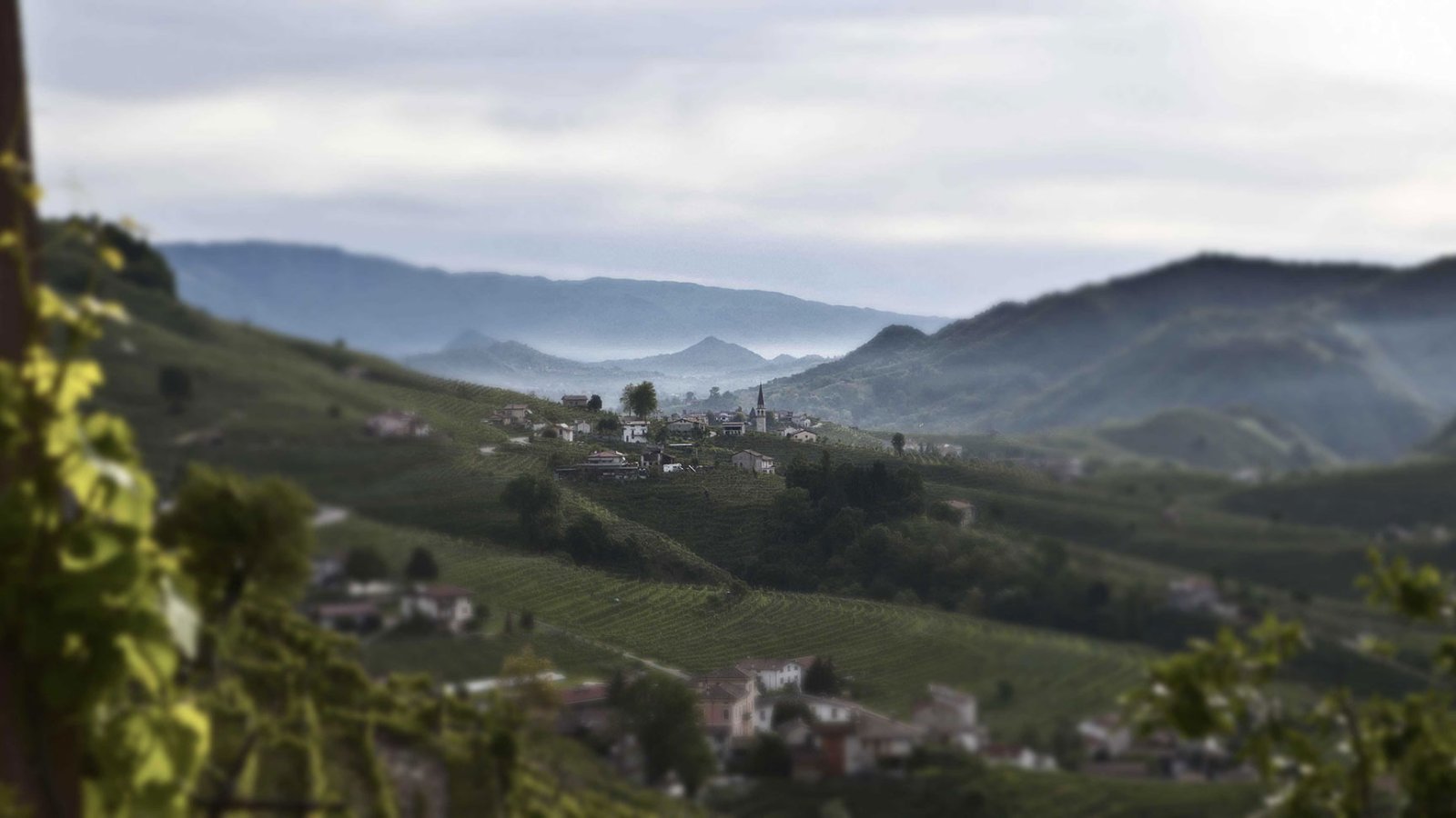 Kopce Valdobbiadene s vinicami