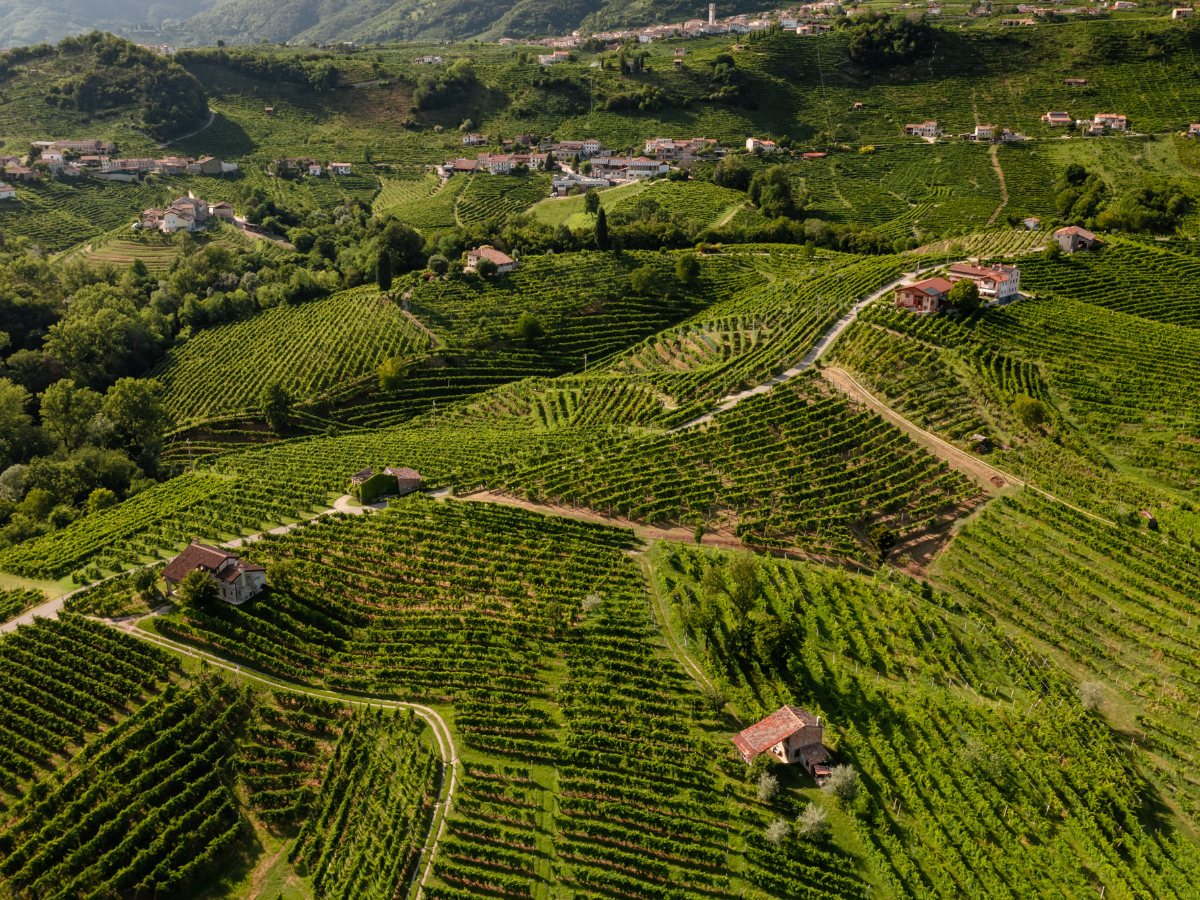 Vinice vo Valdobbiadene z vtáčej perspektívy