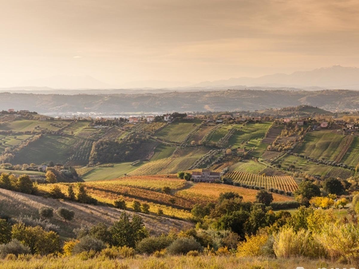Horské údolie rieky Tronto s vinicami na svahoch