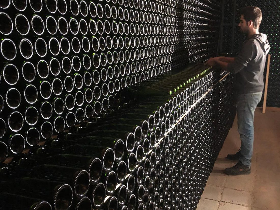 Fľaše cavy zrejúce v pivnici Oliver Viticultors