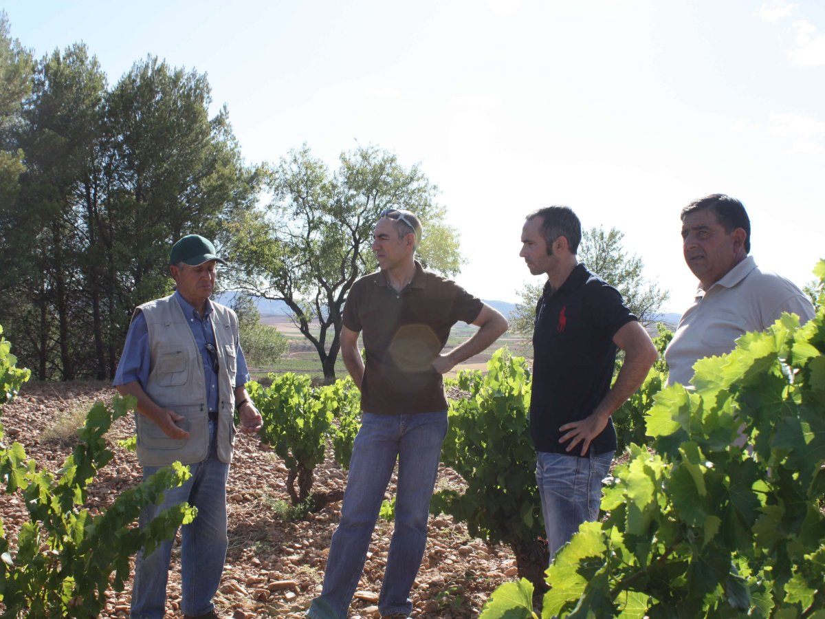 Vinohradníci pri rozhovore vo vinici Garnachy