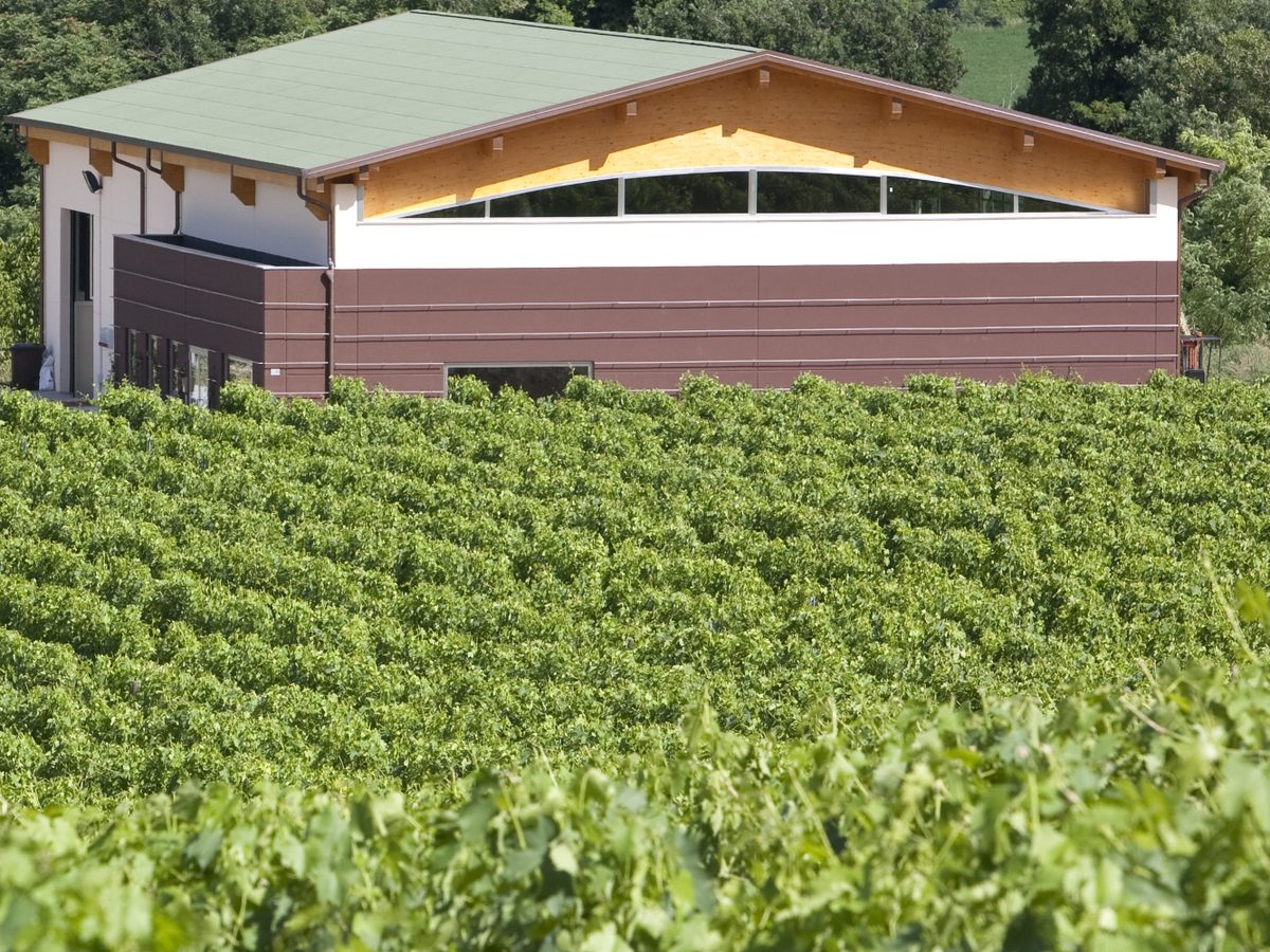 Budova vinárstva Tenuta Santa Lucia nad vinicami