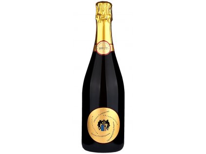 Fľaša Monzio Compagnoni Franciacorta DOCG – elegantné talianske šumivé víno s jemnou perlážou a sviežou chuťou