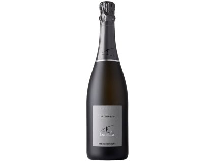 Valdobbiadene Introvers0 Brut Zero DOCG šumivé víno bez cukru s citrusovou vôňou a minerálnou chuťou