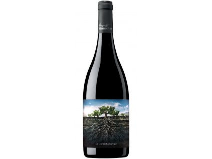 PROYECTO GARNACHAS La Garnacha Salvaje del Moncayo, 0,75l