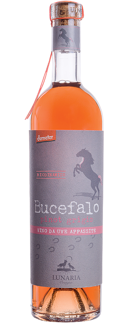 LUNARIA Bucefalo Pinot Grigio Vino Da Uve Appassite oranžové 14,50% 0,75l (čistá fľaša)