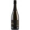 RIVACASELLE16 Brut Nature Prosecco Col Fondo Valdobbiadene DOCG, 0,75l