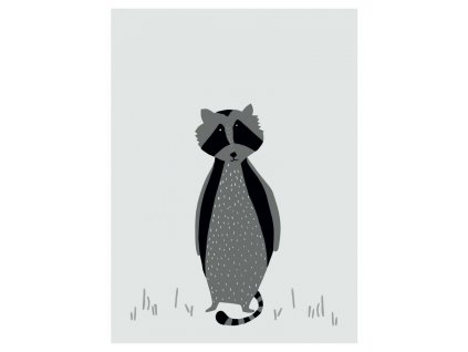 2067 plakat mr raccoon