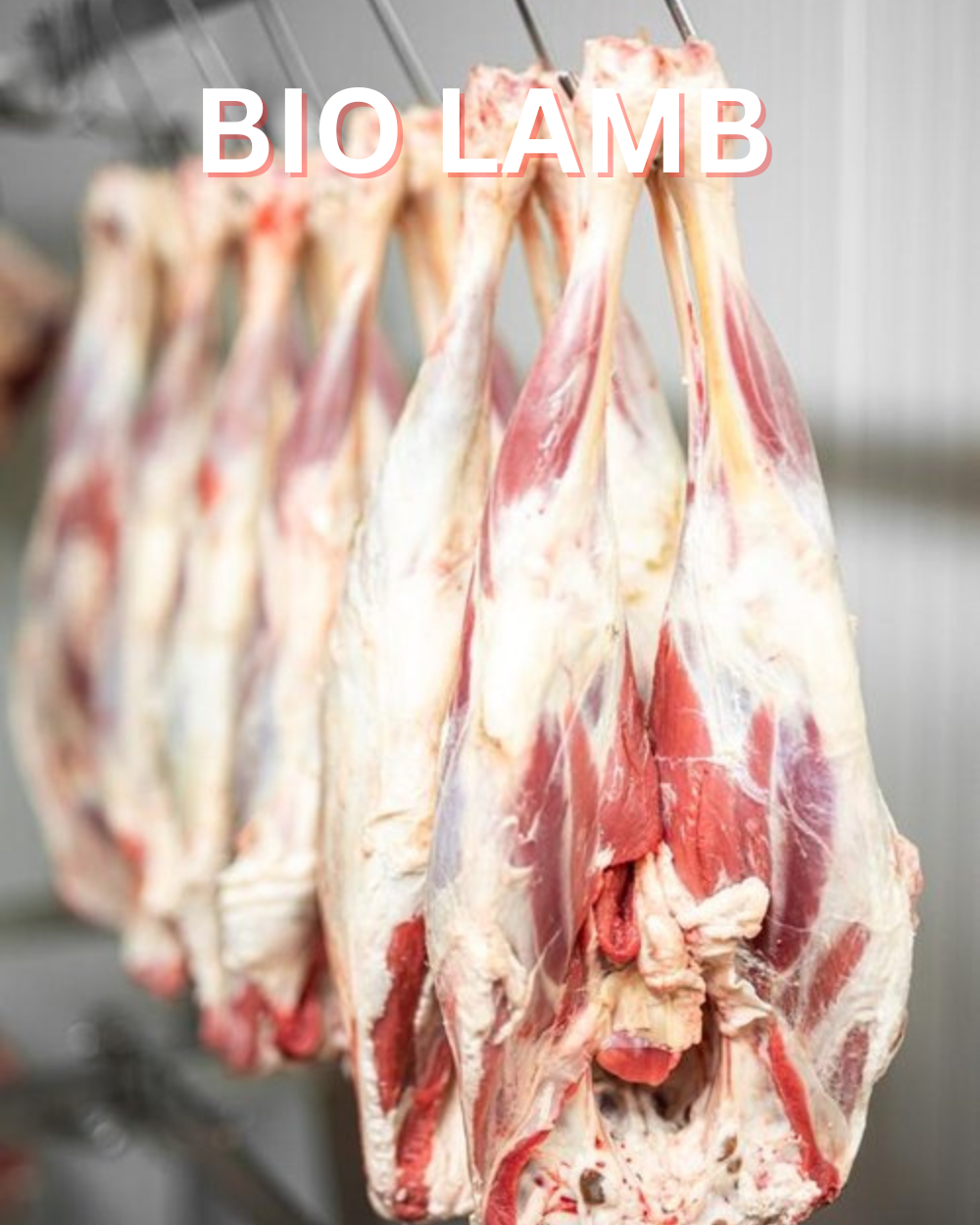 Bio lamb meat  farm prague