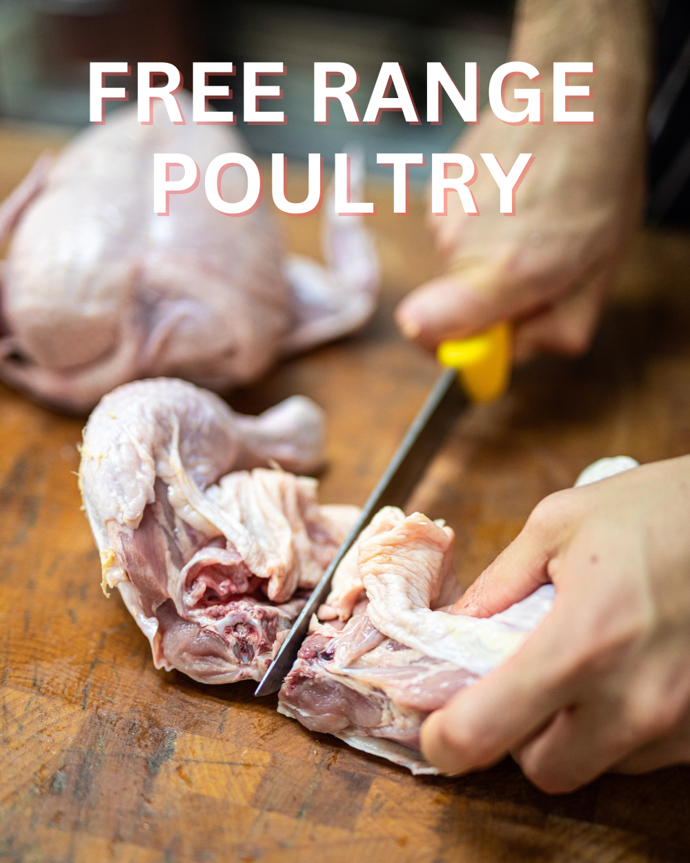 FREE RANGE POULTRY Free range poultry from the Štěpánovsko farm