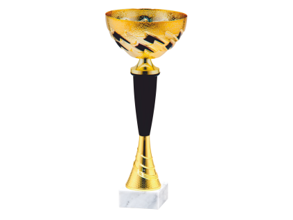 Pohár G24503  Elegantný športový pohár pre víťazov