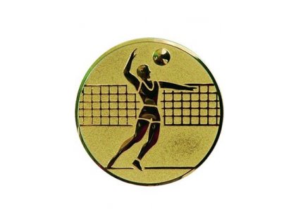 Emblém 25mm  06 volejbal muži