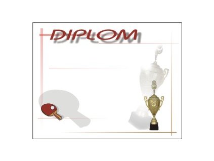 diplom3