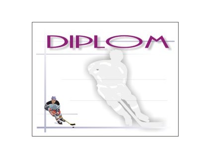 Diplom 6