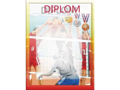 diplom17