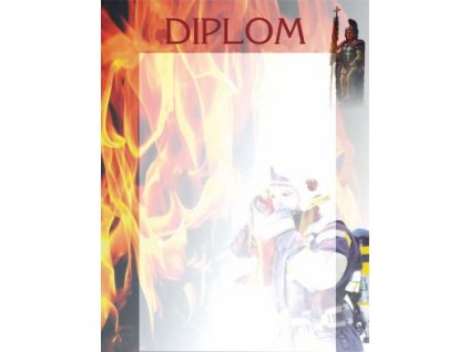 Diplom 19