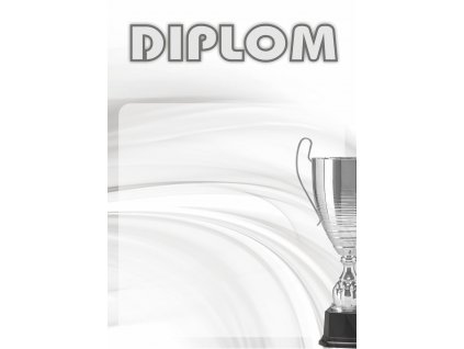 Diplom 33