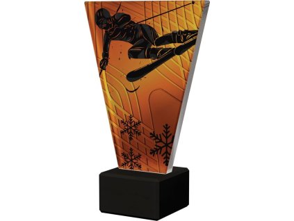 VL1A SKI2