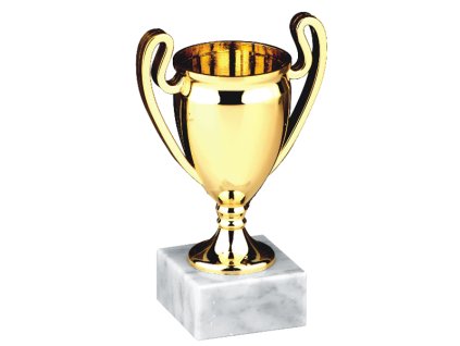 Pohár 9576 (Varianta A-20cm)