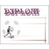 diplom4