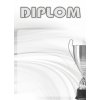 Diplom 33